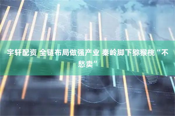 宇轩配资 全链布局做强产业 秦岭脚下猕猴桃“不愁卖”